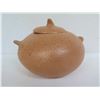 Image 8 : Native American Indian San Juan Pueblo Pot w/Lid, Signed Carnation Sockwood 4.5" Tall