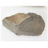 Image 8 : Qty 4 Fossil Rocks