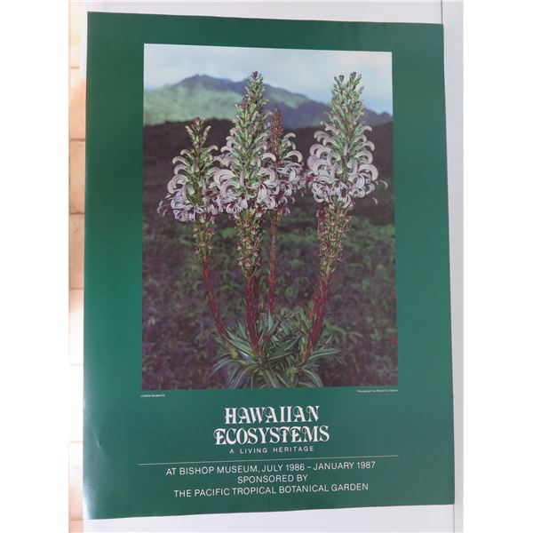 Hawaiian Ecosystems Poster, Bishop Museum 1986-1987 18" x 24.5"