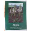 Image 1 : Hawaiian Ecosystems Poster, Bishop Museum 1986-1987 18" x 24.5"