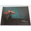 Image 1 : Te Ara  O Tainui Poster, Waikato Museum NZ 1998 16.75" x 23"