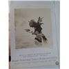 Image 1 : Annual Artist & Craftsman Show Poster, 1992 18" x 24"