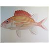 Image 10 : Qty 6 Hawaiian Fish Prints