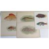 Image 1 : Qty 6 Hawaiian Fish Prints