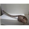 Image 2 : Wooden Carved Mask, Painted Black/Red /Beige 45" L