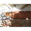 Image 5 : Solid Wood Carved Tray  20" x 84"