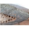 Image 8 : Solid Wood Carved Tray  20" x 84"