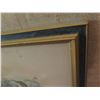 Image 8 : Framed Art, "Avif of Laysan etc." Print 12" x 15"
