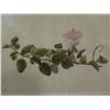 Image 2 : Framed Art, "Puapilo" Botanical Print, Leighton Brothers Printers 17" x 14.25"