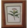 Image 1 : Framed Art, Botanical Print, Purple/Green/Yellow/White 14" x 17.25"