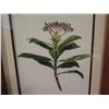 Image 2 : Framed Art, Botanical Print, Purple/Green/Yellow/White 14" x 17.25"