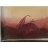 Image 2 : Framed Art, Photo Fern in Mist, 12" x 8"