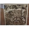Image 2 : Framed Art, Photo "Hawaiian Petroglyph" Limited Edition Signed Buzz Belknap 11.75" x 14.75"