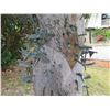 Image 8 : Wooden Carved Figurine w/ Metal Tool Ornaments 80" Tall