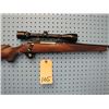 Image 3 : Ruger M77, bolt action, 30-06, floor plate, Bushnell Banner 4x40 scope