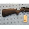 Image 2 : Benjamin Maximas Model E-BPM226, PCP AIR RIFLE, .22 CAL PELLET, 850FPS
