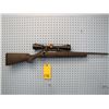 Image 1 : Ruger American, bolt action, 223 Remington, synthetic stock, clip, scorpion optics scope 4 - 12 x 40