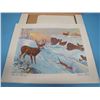 Image 2 : art prints-- monarchs of the Canadian Wilds, some have water damage