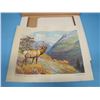 Image 8 : art prints-- monarchs of the Canadian Wilds, some have water damage