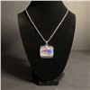 Image 2 : NEW ENGLAND PATRIOTS N.F.L 2001 CHAMPIONSHIP NECKLACE (ref1180)