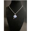 Image 2 : SEATTLE SEAHAWKS N.F.L CHAMPIONSHIP NECKLACE (ref1189)
