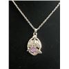 Image 1 : BALTIMORE RAVENS SUPER BOWL XLVII N.F.L CHAMPIONSHIP NECKLACE (ref1191)