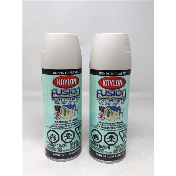 Krylon Fusion for Plastic (2x)