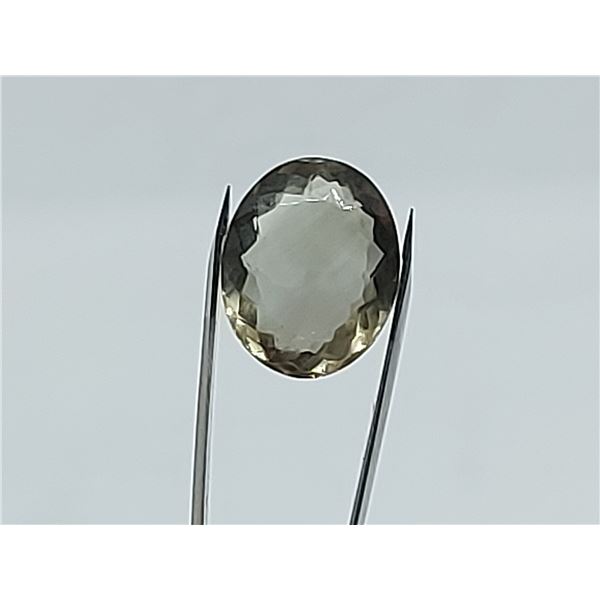 11.60 ct FABULOUS PRASIOLITE (GREEN AMETHYST)