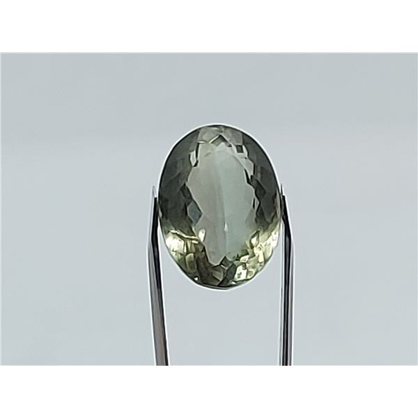 13.20 ct SPARKLING PRASIOLITE (GREEN AMETHYST)