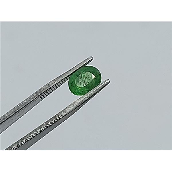 1.40 Ct. Ravishing Color & Full Fire! Natural Top Green Tsavorite Garnet - The Rarest Garnet