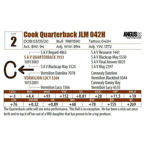 Cook Quarterback JLM 042H