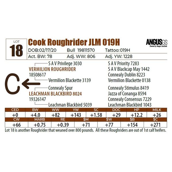 Cook Roughrider JLM 019H