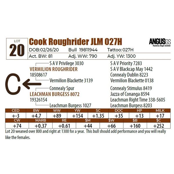 Cook Roughrider JLM 027H