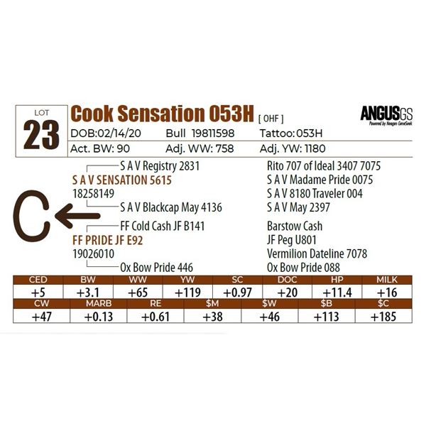 Cook Sensation 053H