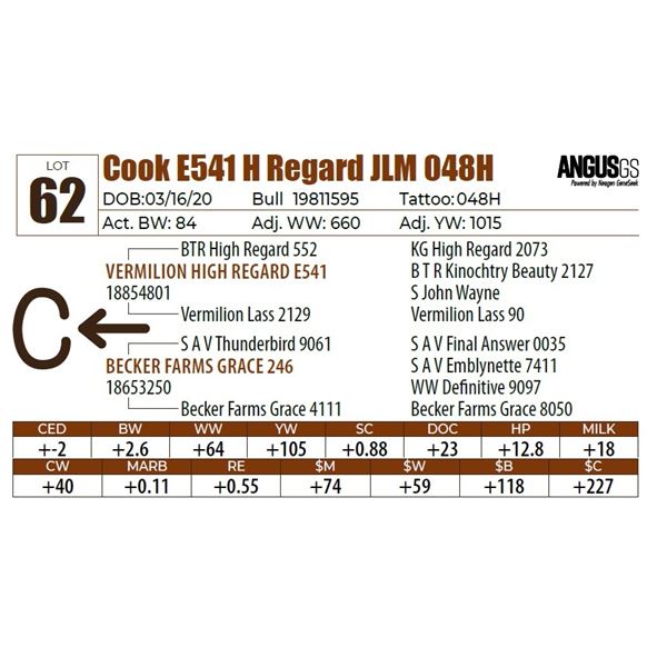 Cook E541 H Regard JLM 048H