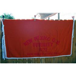 Vintage Quarter Horse Race Show Blanket #1672263