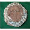 Image 1 : Authentic Large Dug Trilobite  #1672434