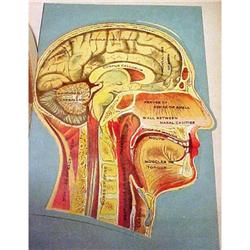 Antique Large Book  Medical  1923 #1686538