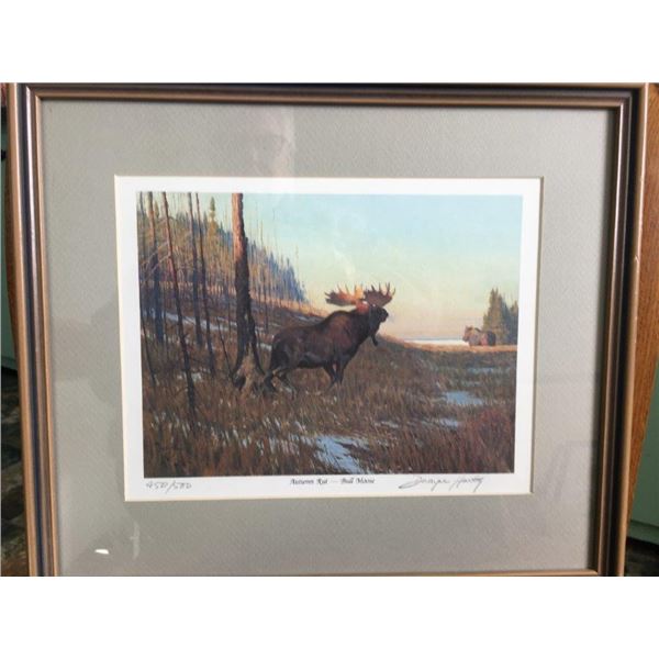 "Autumn Rut -Bull Moose" Signed numbered print