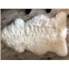 Image 1 : Large White Sheepskin Rug approx sixe 2' X3'