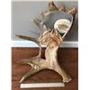 Image 4 : Moose Antler Carving