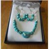 Image 1 : Turquoise Necklace 18 3/4 "  Stainless steel chain and matching earings