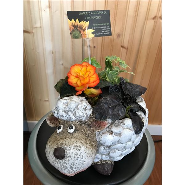 Indoor planter with three plants