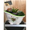 Image 2 : Outside Planter with Succulents