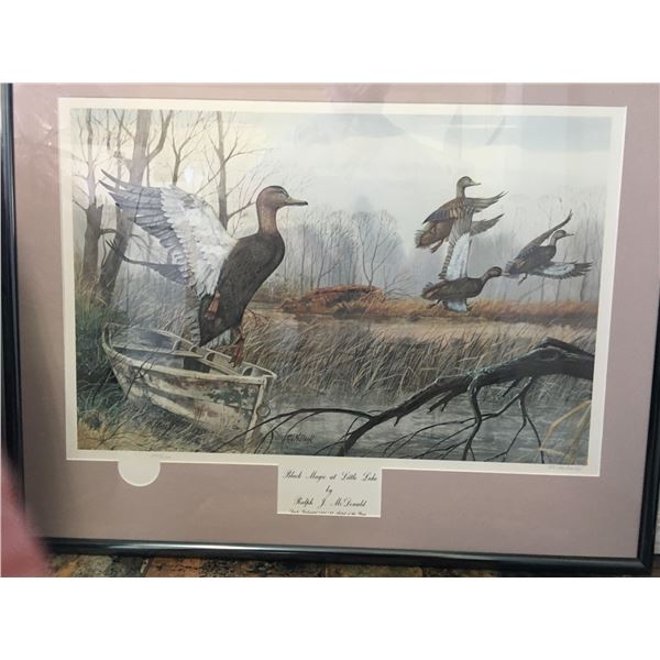 "Black Magic at Little Lake" by Ralph J. McDonald  34 X26"  numbered print