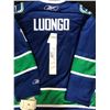 Image 1 : VANCOUVER CANUCKS TEAM SIGNED ROBERTO LUONGO JERSEY (MULTIPLE SIGNATURES)