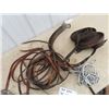 Image 3 : Leather Reins, Buggy Chrome & Old Tools