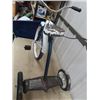 Image 3 : Tricycle (Usable or For An Awesome Display)