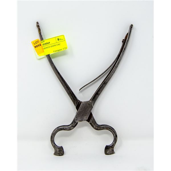 1841 DALLER SIGNED SNIPS EXC SHAPE