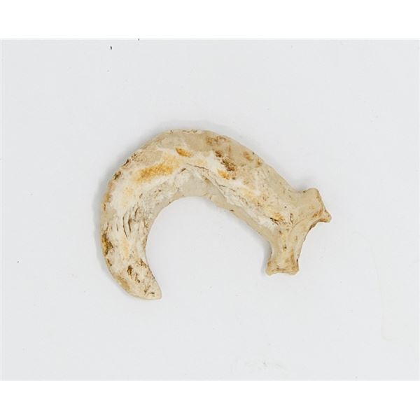 ANTIQUE STONE FISH EFFIGY IROQUOIS